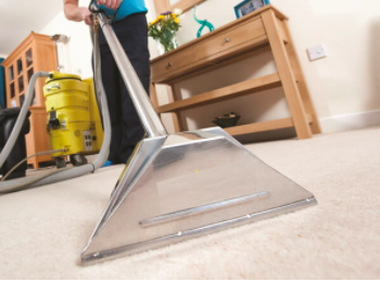 Oven Shiners carpet cleaning